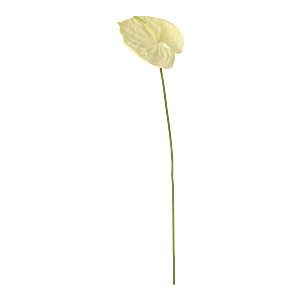 Kunstig Anthurium L: 67 cm.