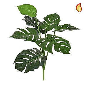Kunstig Split Philo blad FR H: 67 cm.