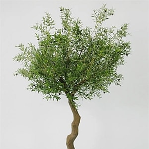 Kunstig oliventræ - H: 240 cm.