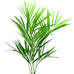 Kunstig kentia palme - H: 180 cm.
