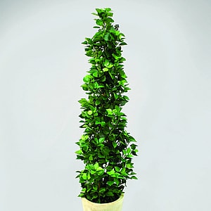 Kunstig Hedera Helix H: 175 cm.