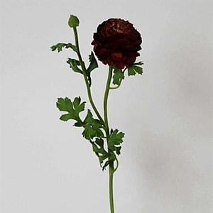 Kunstig ranunkel stilk i vinrød - L: 71 cm.
