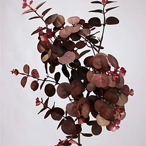Kunstig eukalyptus gren vinrød L: 79 cm.