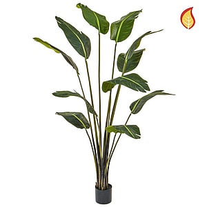Kunstig Strelitzia FR H: 180 cm.