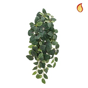 Kunstig Fittonia FR H: 70 cm.