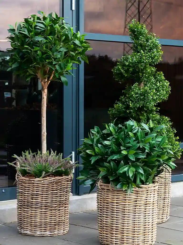 Kan kunstige planter stå ude?,