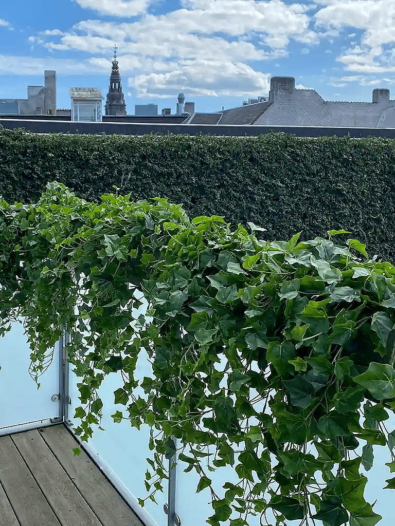Kunstige planter til altan,
