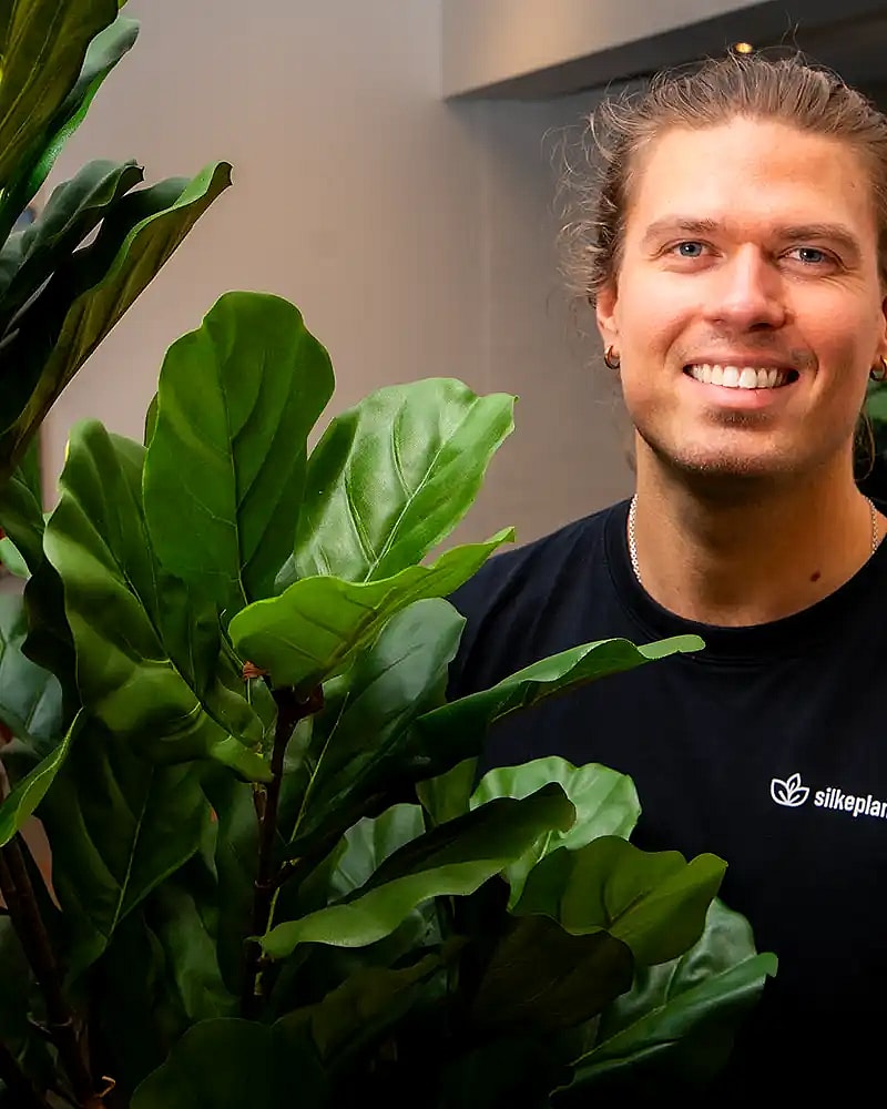 Vedligeholdelse af kunstige planter,