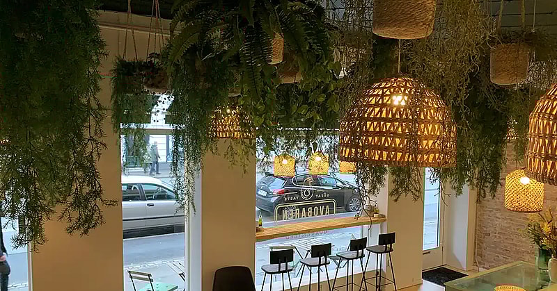 Avocado Cafe indretning,