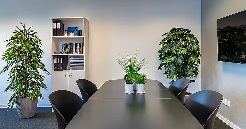 Grønne planter giver liv på kontoret,