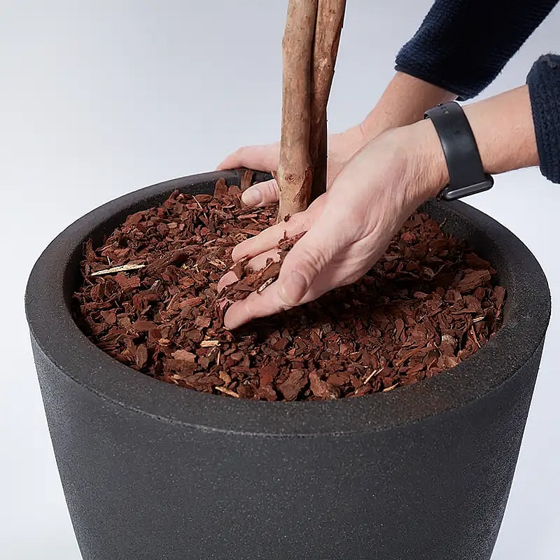 Montage af kunstige planter,