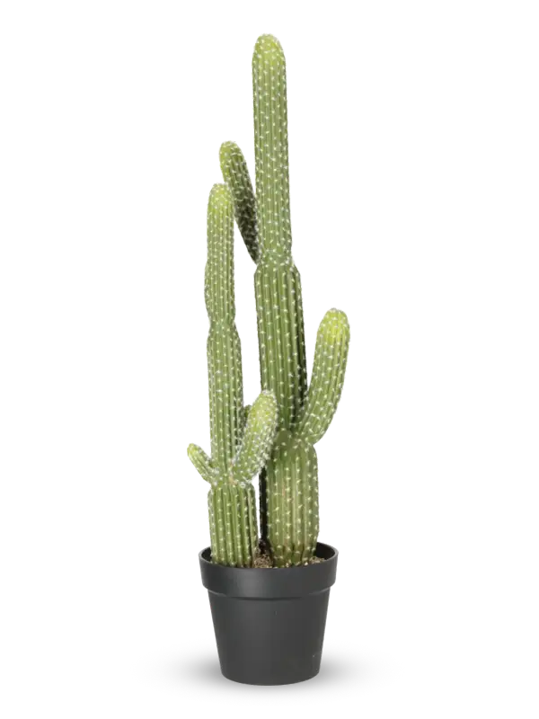 Kunstige kaktus planter,