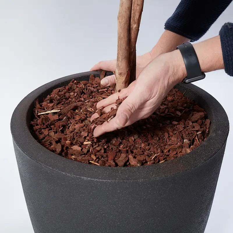 Montage af kunstige planter,