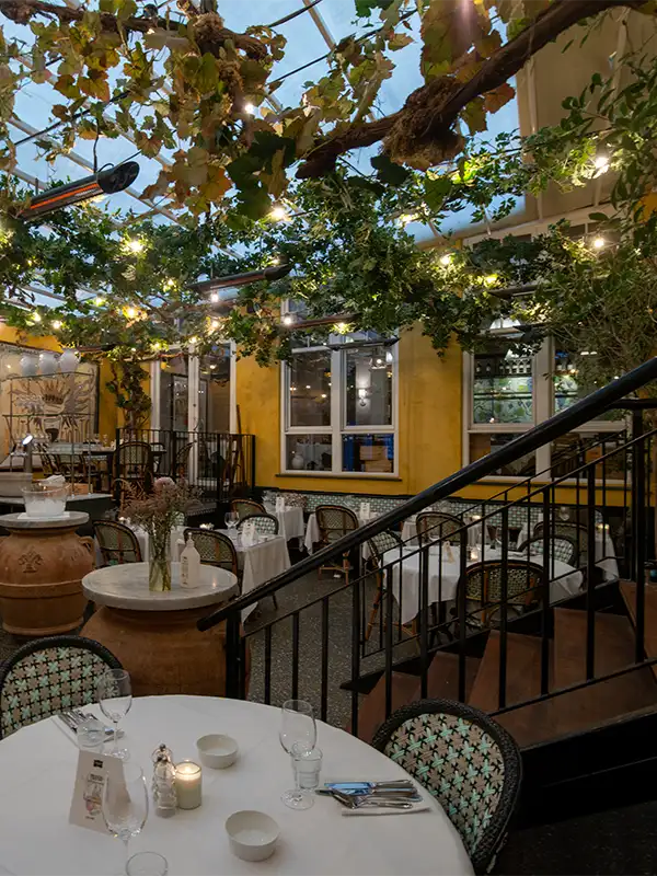 Planter til restaurant,