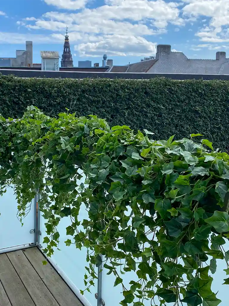 Kunstige planter til altan,