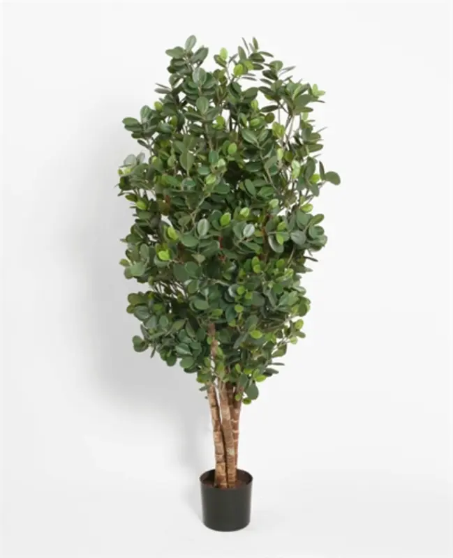 Kunstig ficus panda plante - H: 110 cm/80 cm - 80 .