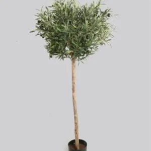 Kunstig oliventræ med frugt - H: 140 cm.