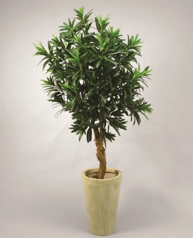 Kunstig croton træ - H: 180 cm.