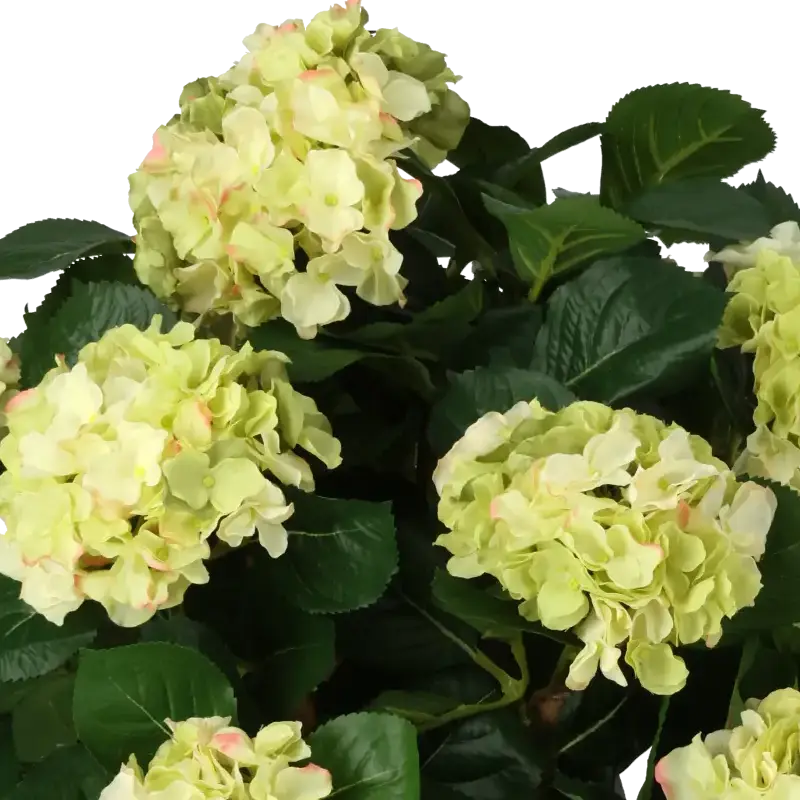 Closeup af Kunstig hortensia træ limegrøn - H: 65 cm.