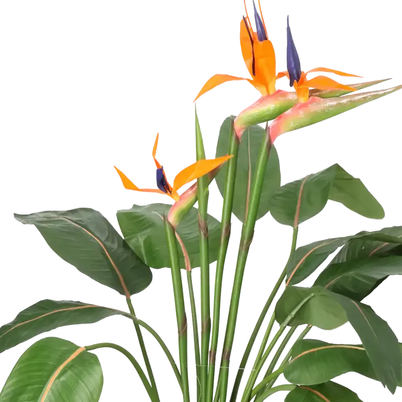 Closeup af Kunstig Strelitzia med blomster - H: 115 cm.