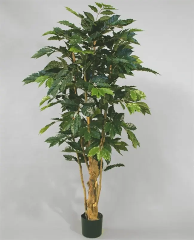 Kunstig kaffetræ - H: 170 cm.