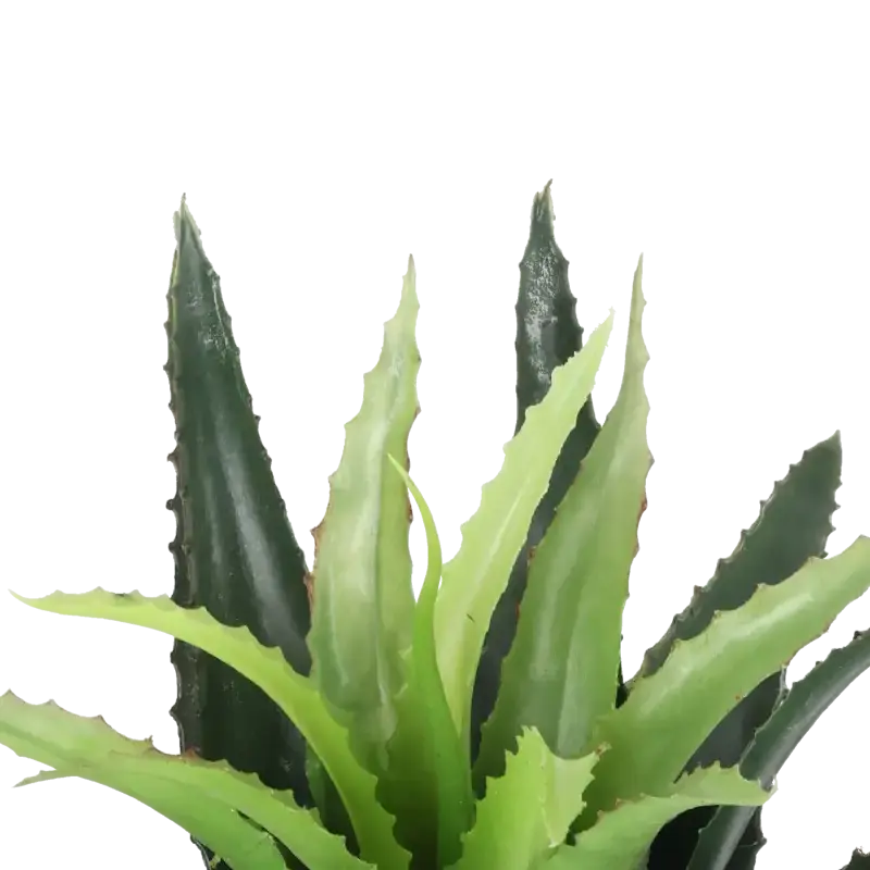 Closeup af Kunstig agave uden potte H: 25 cm.