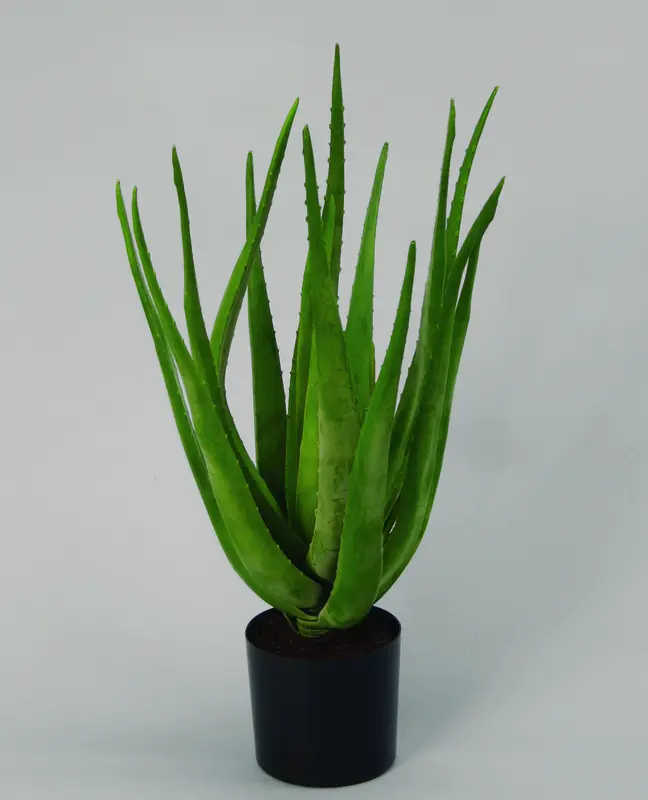 Kunstig aloe plante - H: 60 cm.