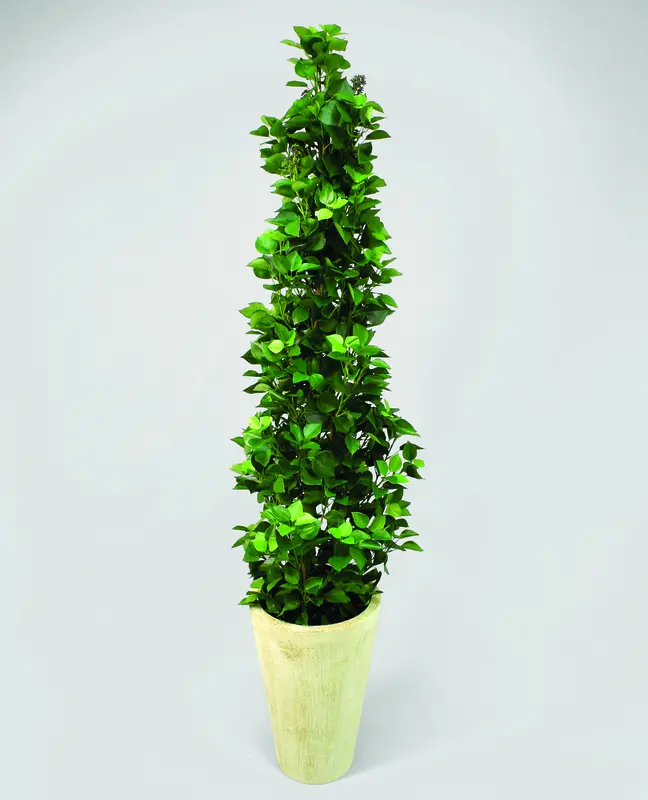 Kunstig efeu on Pole træ - H: 160 cm.