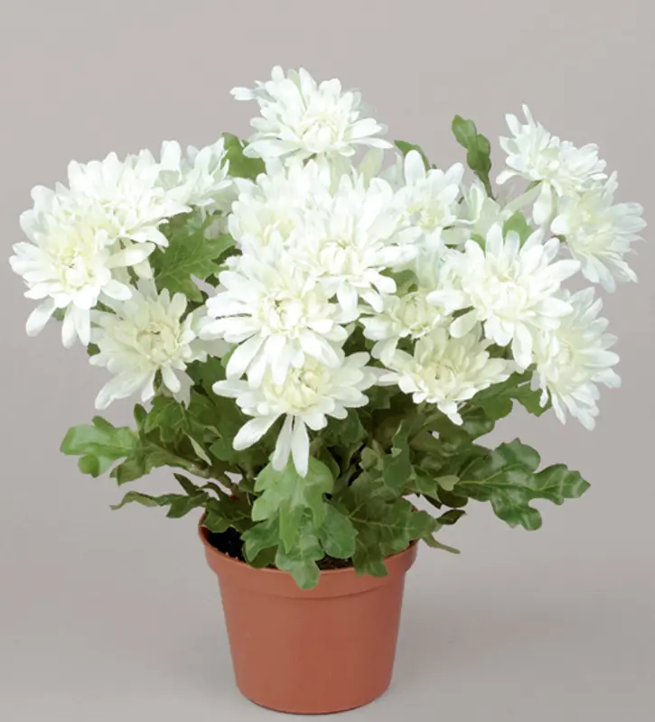 Kunstig krysantemum hvid H: 26 cm.