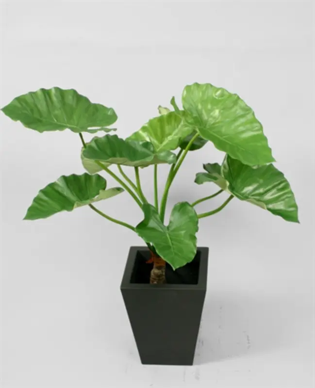 Kunstig alocasia Calidora - H: 80 cm.