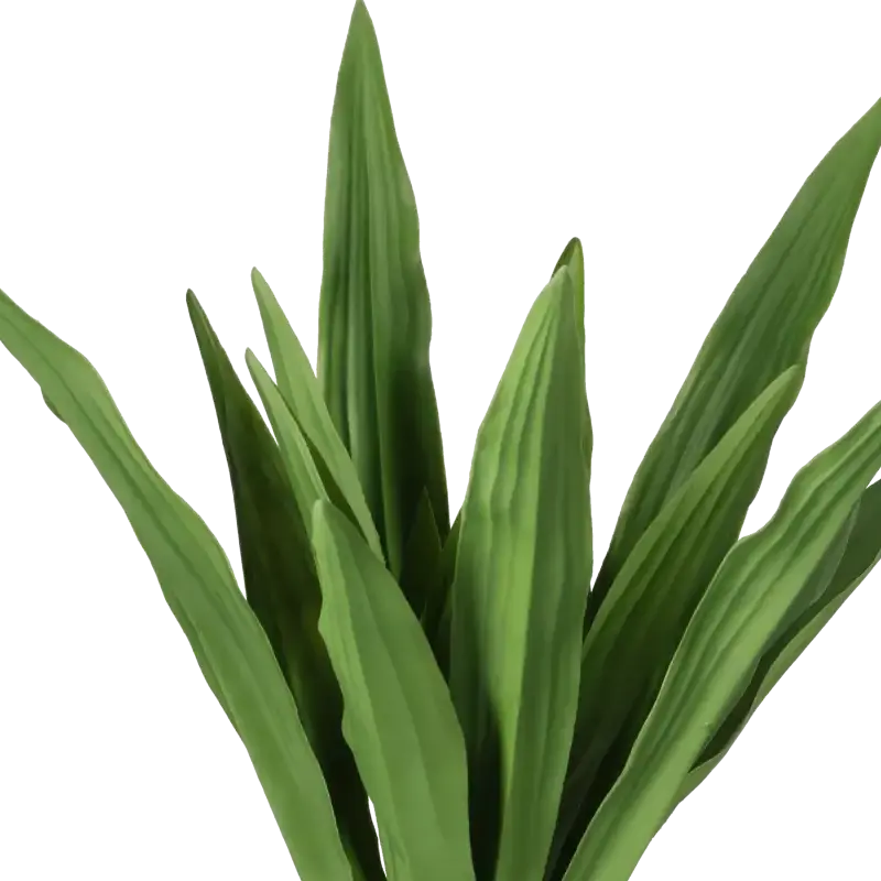Closeup af Kunstig Yucca Elefant palme - H: 70 cm.