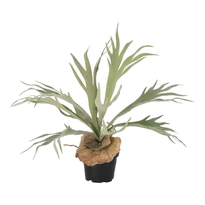 Kunstig elsdyrbregne - H: 30 cm.