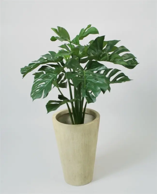 Kunstig fingerphilodendron - H: 80 cm.
