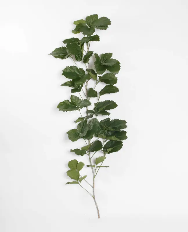 Kunstig Tetrastigma L: 180 cm.