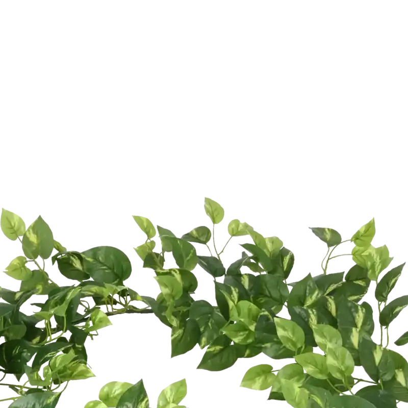 Closeup af Kunstig Pothos Garland Ranke - L: 180 cm.