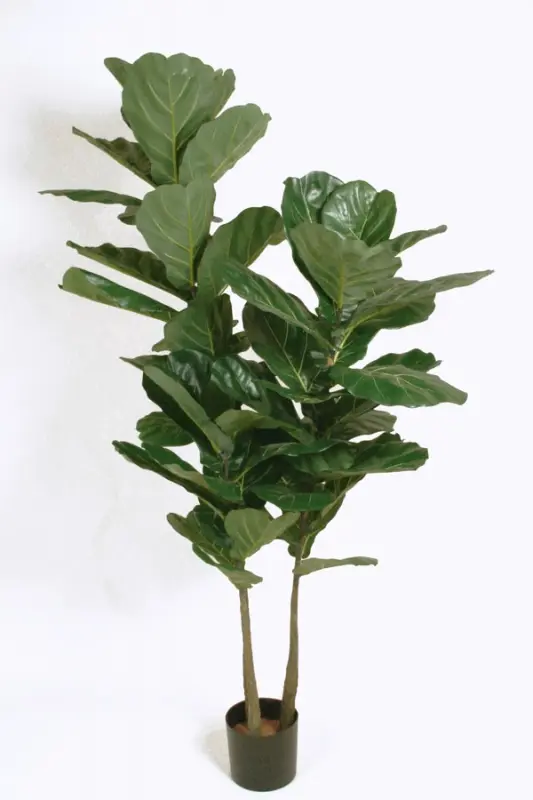 Kunstig violinfigen træ - H: 180 cm.