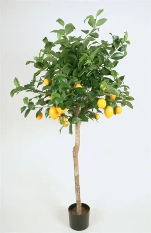 Kunstig citrontræ - H: 170 cm.