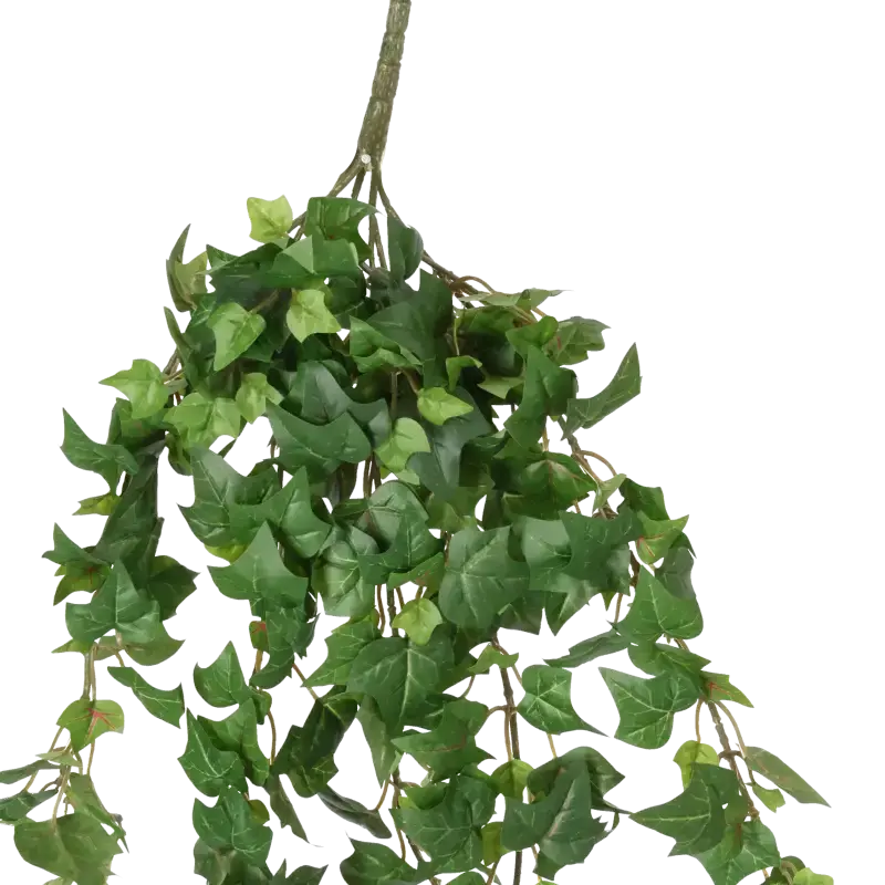 Closeup af Kunstig efeu hængebusk - L: 70 cm.