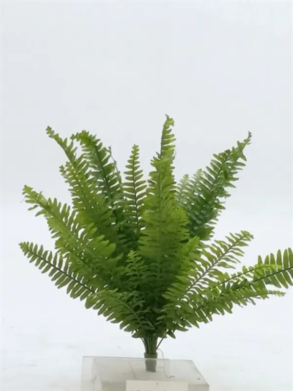 Kunstig bregne - H: 55 cm.