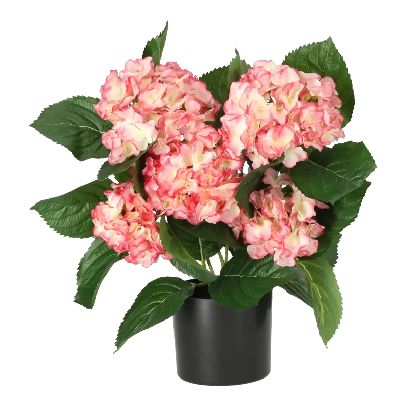 Kunstig hortensia i hvid/rosa - H: 40 cm.