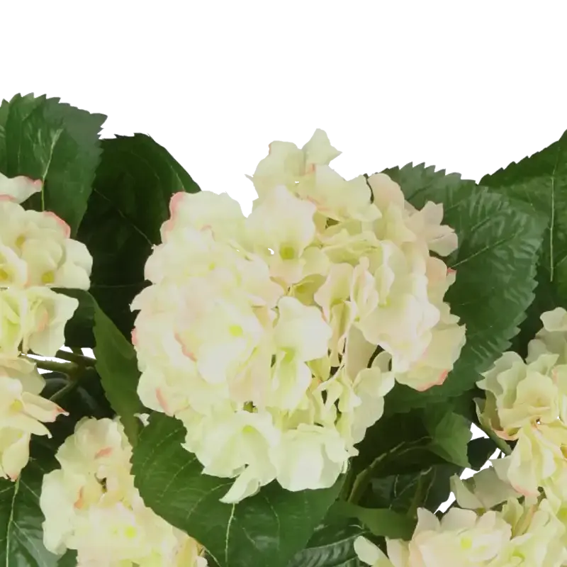 Closeup af Kunstig hortensia lys grøn - H: 40 cm.