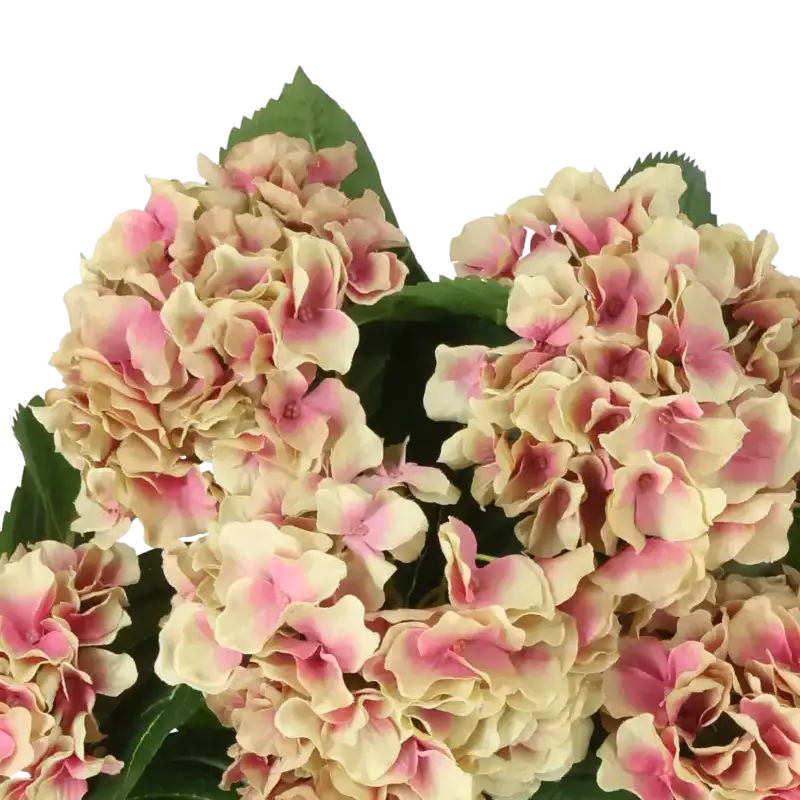 Closeup af Kunstig hortensia gammelrosa - H: 40 cm.