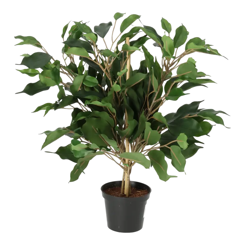 Kunstig grøn Ficus - H: 40 cm.