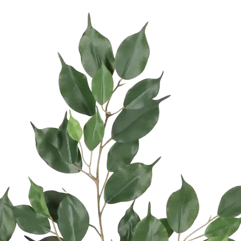 Closeup af Kunstig Ficus Exotic stilk FR - L: 75 cm.