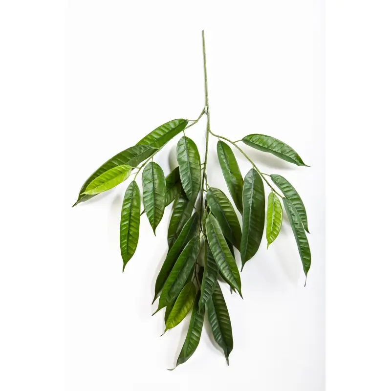 Kunstig Longifolia gren FR - L: 70 cm.