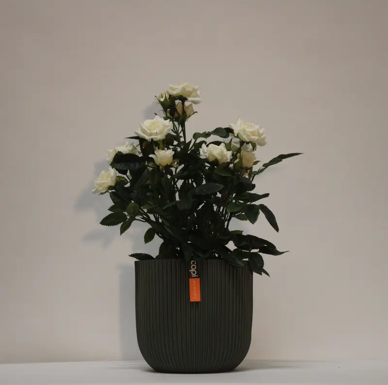 Kunstig mini rose busk hvid - H: 33 cm.