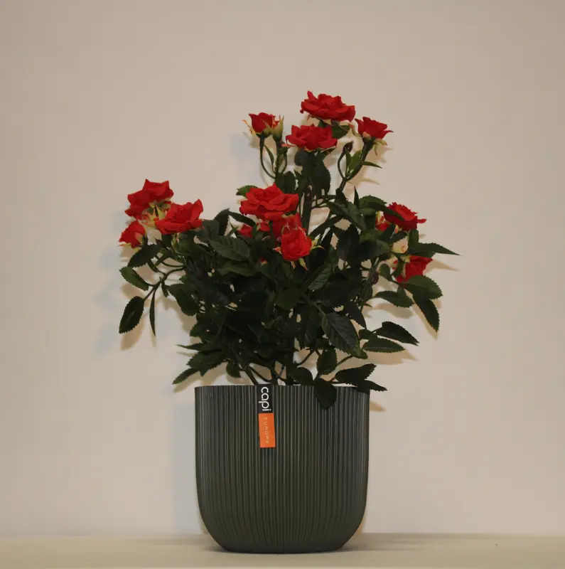 Kunstig mini rose busk rød - H: 33 cm.
