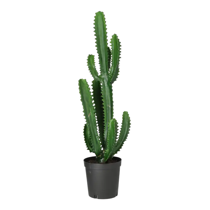 Kunstig finger kaktus - H: 98 cm.