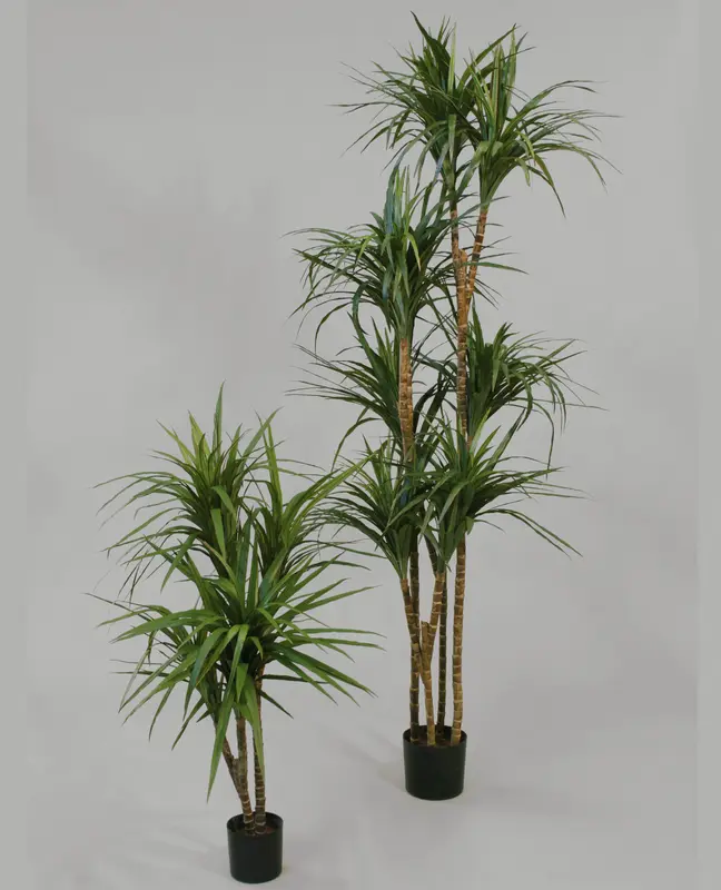 Kunstig Dracaena - H: 180 cm.
