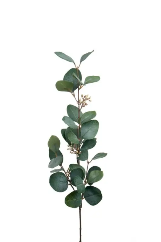 Kunstig Eukalyptus L: 70 cm.
